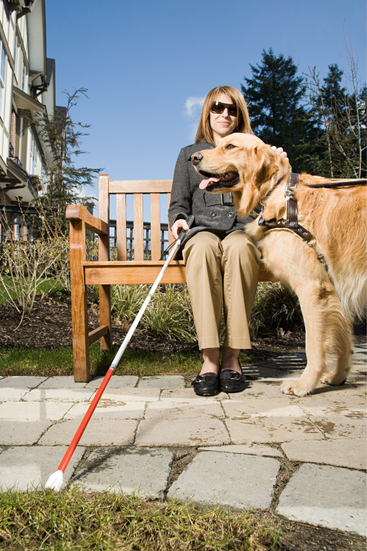 A smiling woman wearing dark glasses is sitting on a park bench. She is holding a white stick in one hand. Her other hand is patting a friendly golden retriever dog.